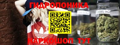 mdpv Мариинск