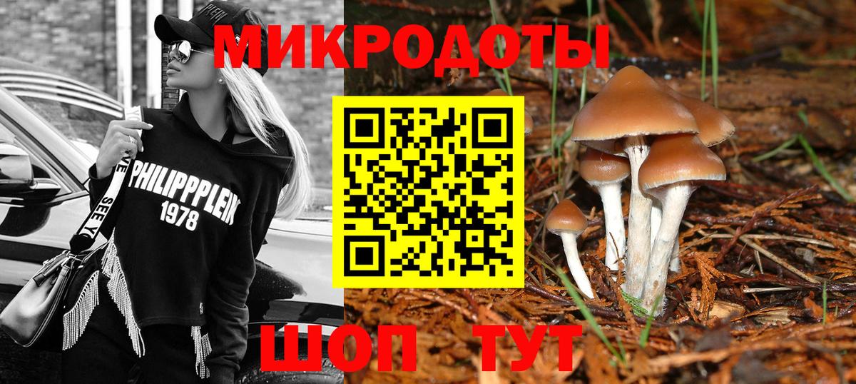 купить наркотик  Вход с VPN  Дербент  Галлюциногенные грибы Psilocybine cubensis 